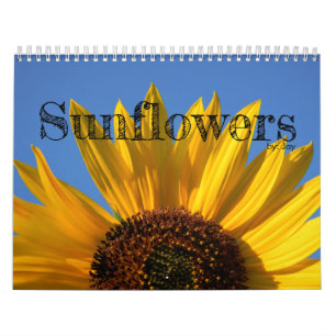 Calendrier des tournesols