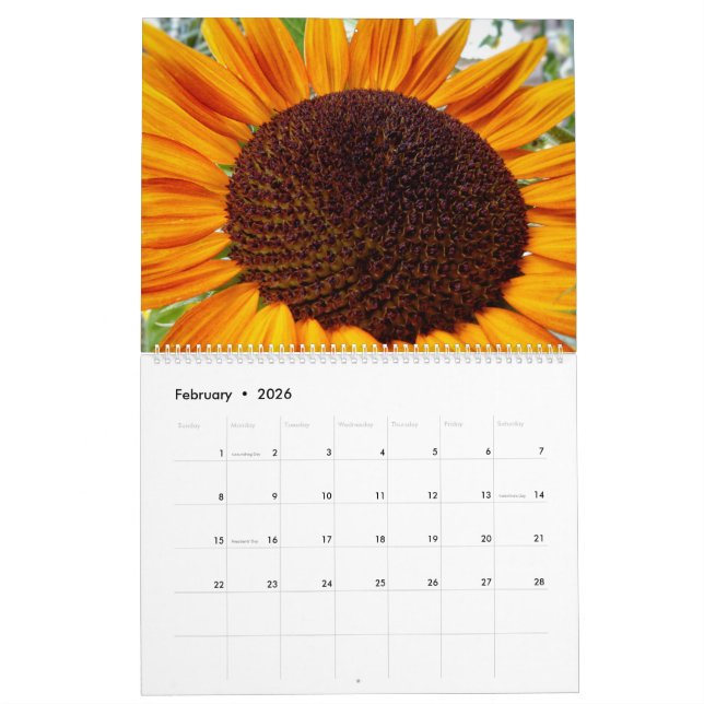 Calendrier des tournesols - tournesols du mois 202 (Feb 2026)