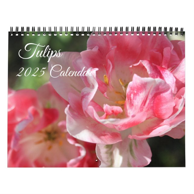 Calendrier des tulipes (Protection)