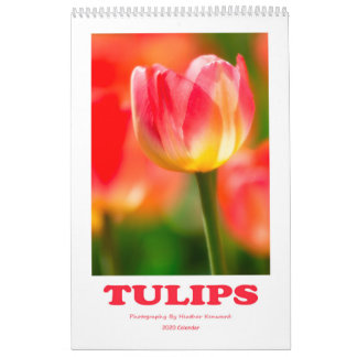 Calendrier des tulipes 2020