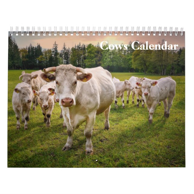 Calendrier des vaches 2025 (Protection)
