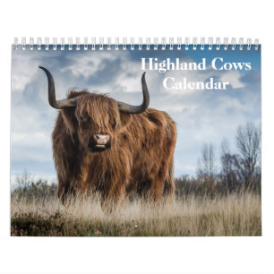Calendrier des vaches Highland 2025