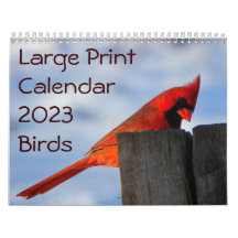 Calendrier d'impression grand format 2023 - Oiseau
