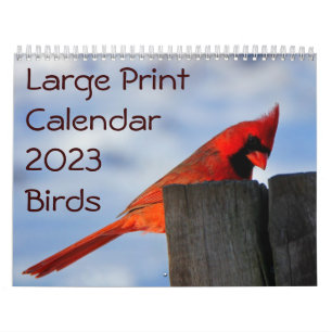 Calendrier d'impression grand format 2023 - Oiseau