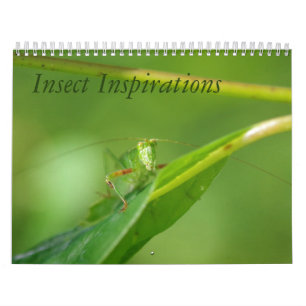Calendrier d'inspirations d'insecte