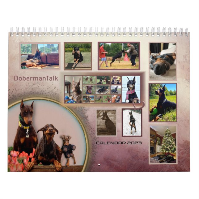 Calendrier Dobermantalk 2023 (Protection)