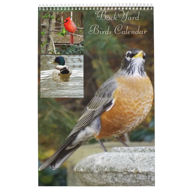 Calendrier d'oiseaux de jardin (Protection)