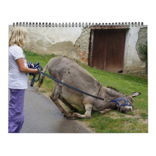 Calendrier Dons doux toute l'année