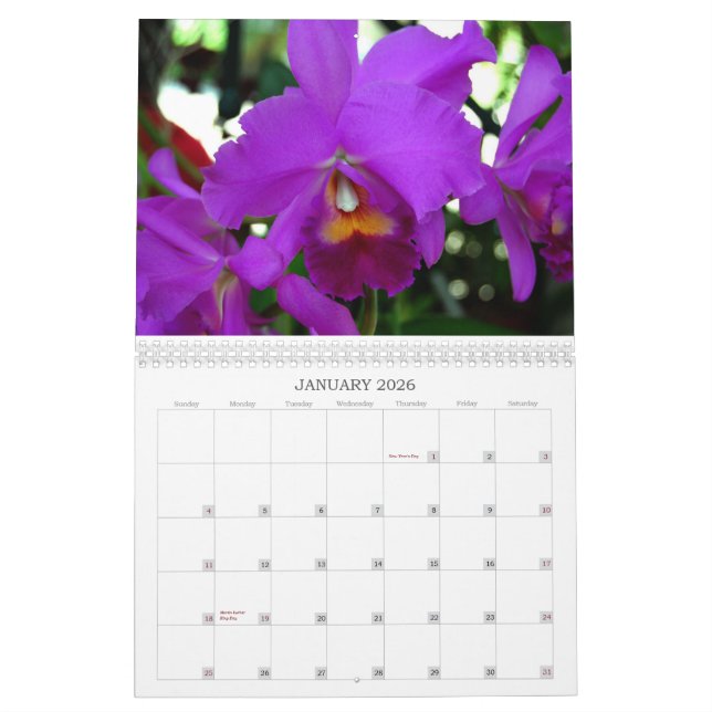Calendrier d'orchidées (Jan 2026)