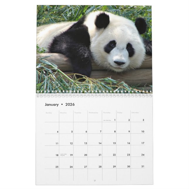 Calendrier d'ours (Jan 2026)