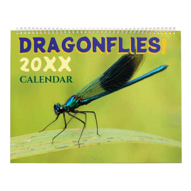 Calendrier Dragonflies in Nature Wall Calendar Cute (Protection)