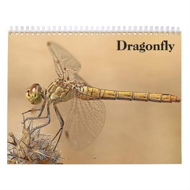 Calendrier Dragonfly 2025 (Protection)