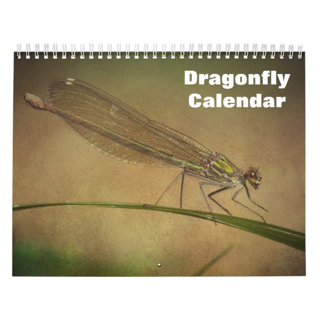 Calendrier Dragonfly 2025 (Protection)