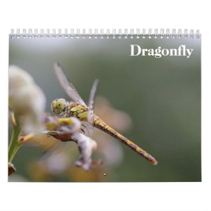 Calendrier Dragonfly 2025