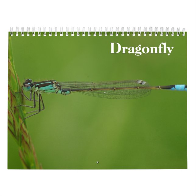 Calendrier Dragonfly 2026 (Protection)