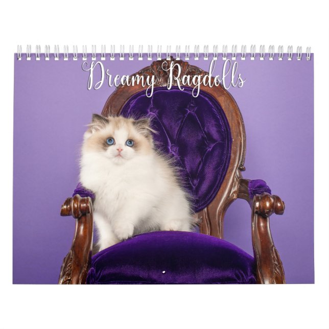 Calendrier Dreamy Ragdoll Cats and Kittens Calendar (Protection)