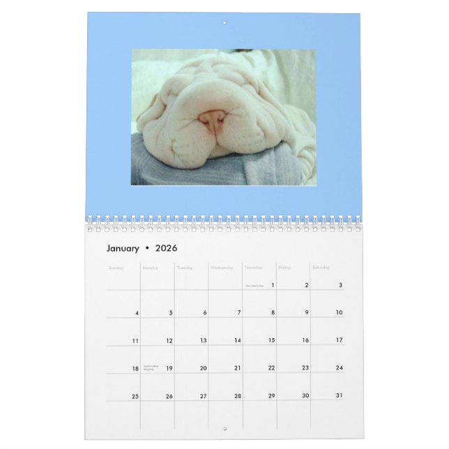 Calendrier drôle de visages (Jan 2026)