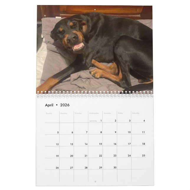 Calendrier DT 2025 (Apr 2026)