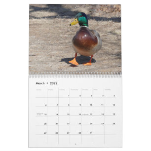 Calendrier Du 22 mars au 23 février Moments dans le calendrie