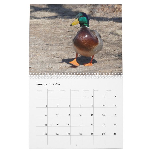 Calendrier Du 22 mars au 23 février Moments dans le calendrie (Jan 2026)