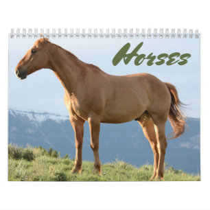 Calendrier du cheval