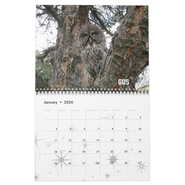 Calendrier du club 2012 de WSU Raptor (Jan 2026)