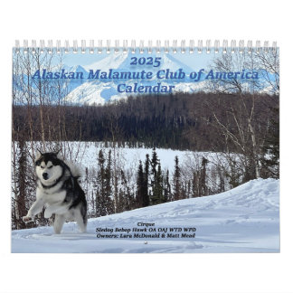 Calendrier du club de malamute de l'Alaska 2025