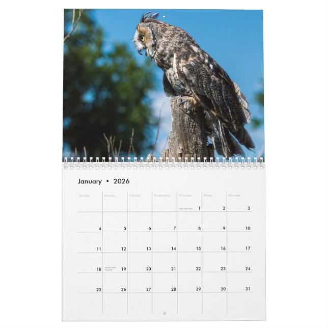 Calendrier du Colorado Raptor (Jan 2026)