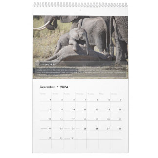 Calendrier du comportement des éléphants