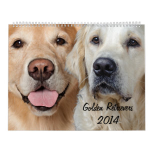 Calendrier du golden retriever 2014