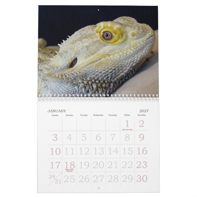 Calendrier du jaspe 2009 (Jan 2027)