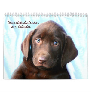Calendrier du laboratoire de chocolat