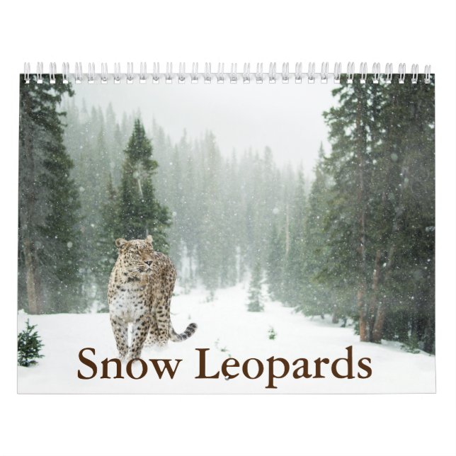 Calendrier du léopard des neiges (Protection)