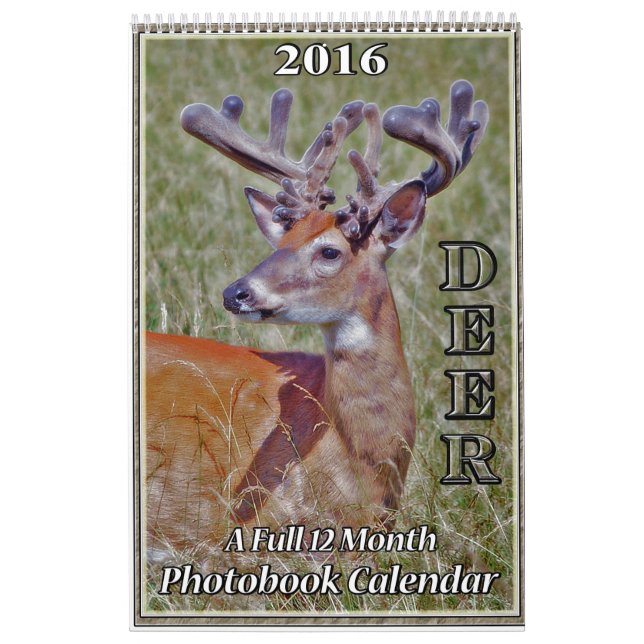 Calendrier du livre photo Deer2 (Protection)
