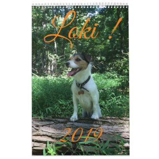 Calendrier du Loki 2019