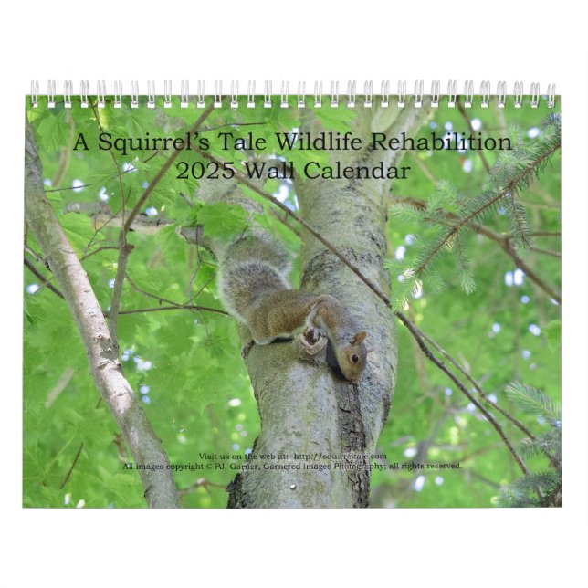 Calendrier du mur de A Squirrel's Tale 2025 (Protection)