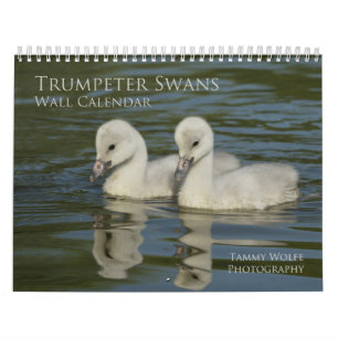 Calendrier du mur de cygne de trompette