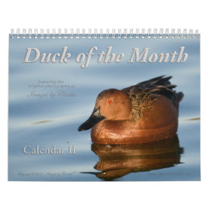 Calendrier du mur de photos de canard