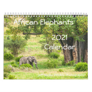 Calendrier du mur des éléphants africains 2021