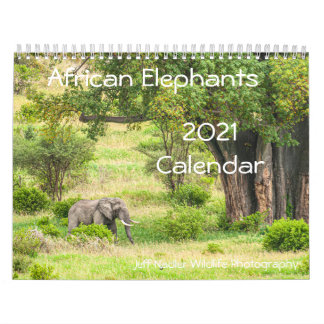 Calendrier du mur des éléphants africains 2021