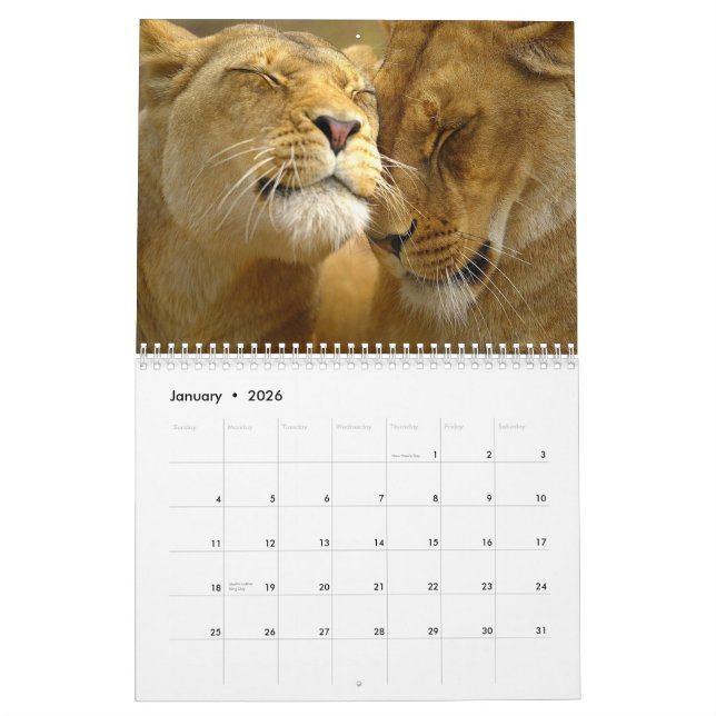Calendrier du mur des lions (Jan 2026)