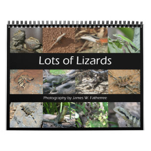 Calendrier du mur des Lizards par J.W. Patrie.