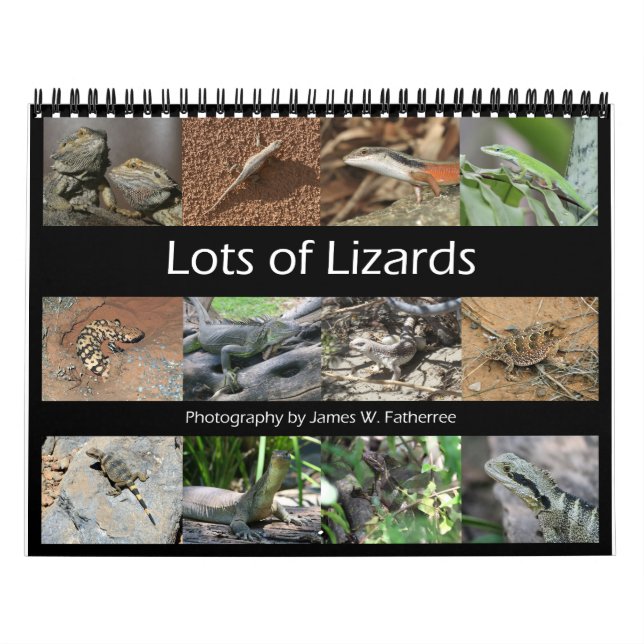 Calendrier du mur des Lizards par J.W. Patrie. (Protection)