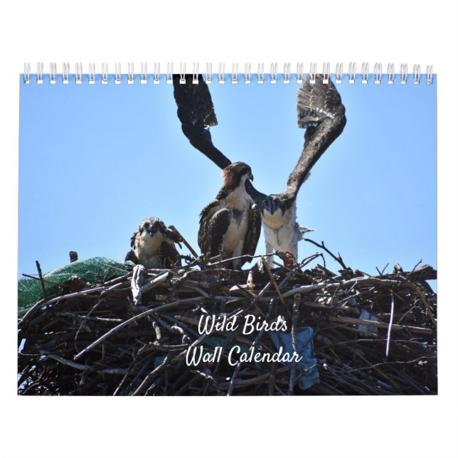 Calendrier du mur des oiseaux sauvages (Protection)