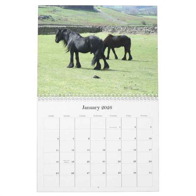 Calendrier du poney 2012 de vallées (Jan 2026)