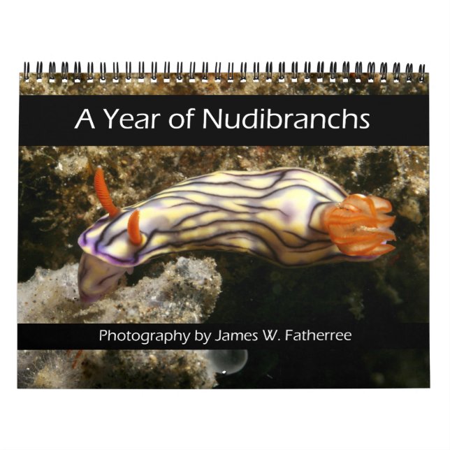 Calendrier d'une année de nudibranches (Protection)