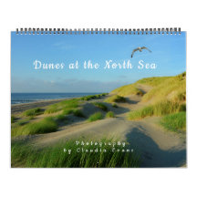 Dunes sur la mer du Nord