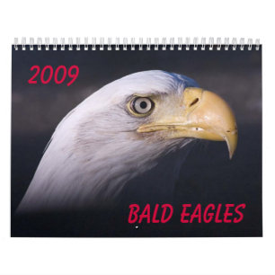 Calendrier Eagles chauve