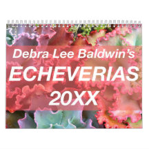 Calendrier Echeverias 20XX par Debra Lee Baldwin