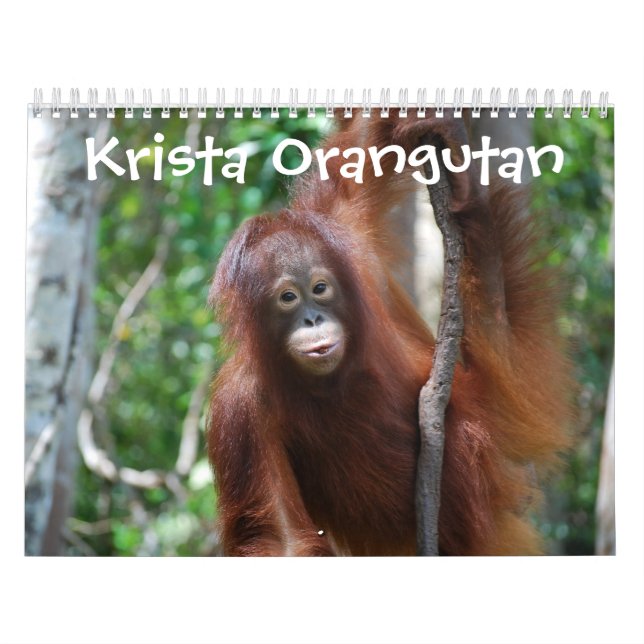 Calendrier École de jungle d'orang-outan de Krista (Protection)